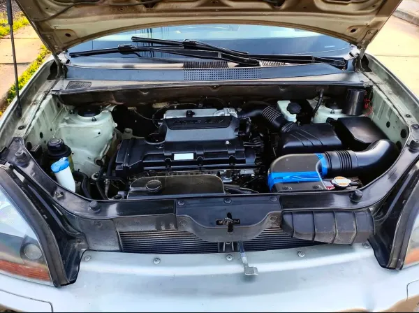 Lavado de Motor Profesional