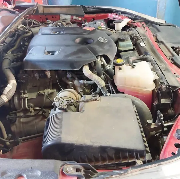 Detailing de Compartimento Motor