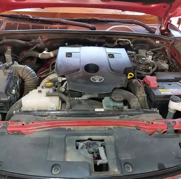 Limpieza Especializada de Motor